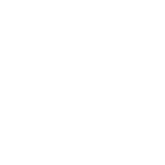 Starlink_Logo Branco